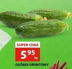 Auchan Ogórek gruntowy oferta