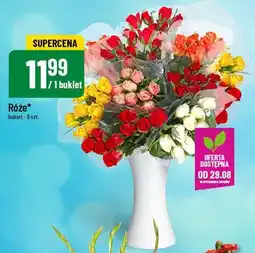 Polomarket Róże oferta