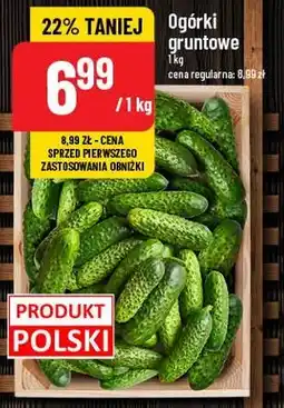 Polomarket Ogórki gruntowe oferta