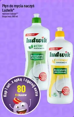 Polomarket Płyn do mycia naczyń Ludwik oferta