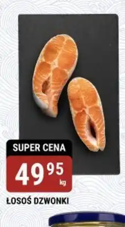 Łosoś dzwonki