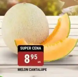 bi1 Melon cantalupe oferta