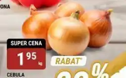 bi1 Cebula oferta
