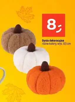 Dealz Dynia dekoracyjna 8.5 cm oferta