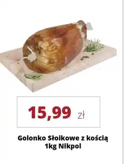 Golonka Stolcowe z kością Nikpol