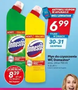 Lewiatan Płyn do czyszczenia wc Domestos oferta