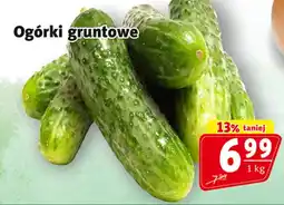 Prim Market Ogórki gruntowe oferta