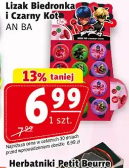 Lizak Biedronka i Czarny Kot