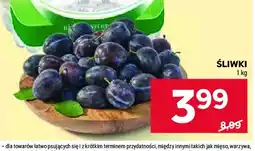 Stokrotka Śliwki oferta