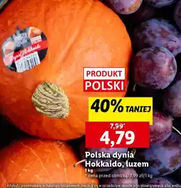 Lidl Dynia hokkaido oferta