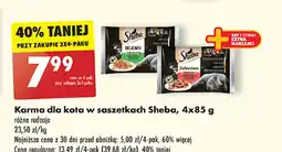 Biedronka Karma dla kota mix smaków Sheba Delicacy In Jelly oferta