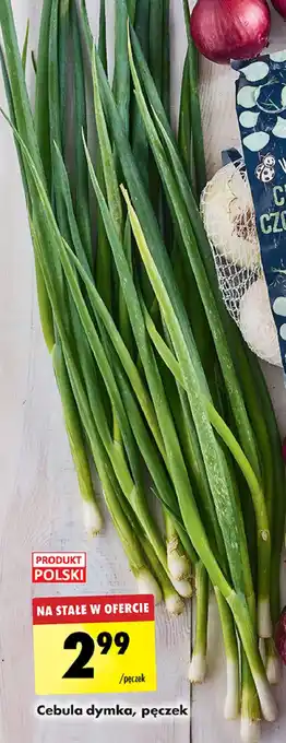 Biedronka Cebula dymka oferta