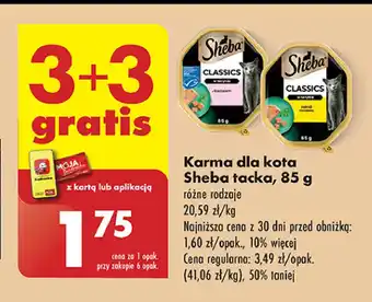 Biedronka Karma dla kota pate z koktajlem drobiowym Sheba Classics oferta