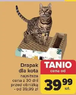 Carrefour Drapak dla kota oferta