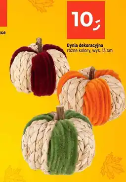 Dealz Dynia oferta