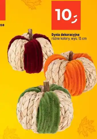 Dealz Dynia oferta