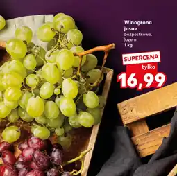 Kaufland Winogrona oferta