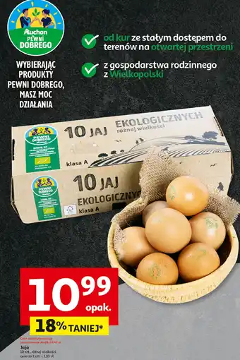 Auchan Jaja ekologiczne kl. a Auchan Pewni Dobrego oferta