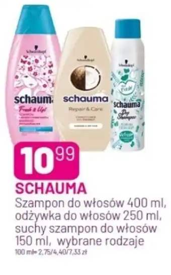 Koliber drogerie Schauma oferta