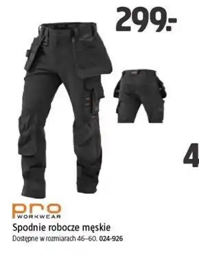Jula Spodnie robocze męskie Pro Workwear oferta