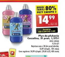 Biedronka Płyn do płukania Coccolino oferta