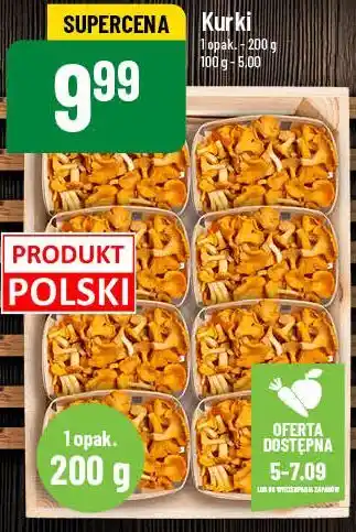 Polomarket Kurki oferta