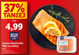 Lidl Łosoś atlantycki filet ze skórą oferta