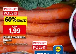 Lidl Polska marchew oferta
