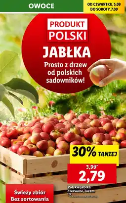 Lidl Jabłka polskie oferta