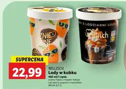 Lidl Lody solony kokos z mango Willisch oferta