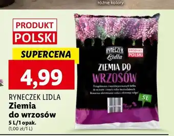 Lidl Ziemia do wrzosów Ryneczek Lidla oferta