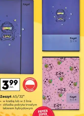 Biedronka Zeszyt A5/32 oferta