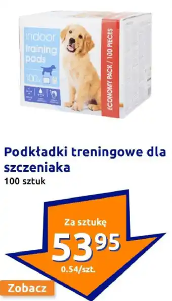 Action Podkładki treningowe dla szczeniaka oferta