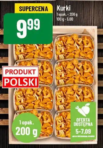 Polomarket Kurki oferta