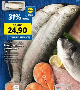 Lidl TARG RYBNY LIDLA Pstrąg tęczowy patroszony oferta