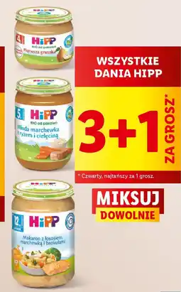 Lidl WSZYSTKIE DANIA HIPP oferta