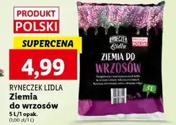 Lidl RYNECZEK LIDLA Ziemia do wrzosów oferta