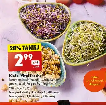Biedronka Kiełki rzodkiewka Vital Fresh oferta