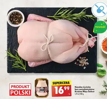 Biedronka Kaczka świeża bez antybiotyków Kraina Mięs Select oferta