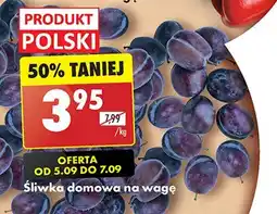 Biedronka Śliwki oferta