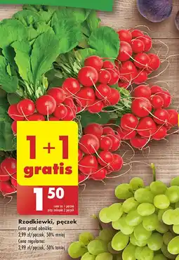 Biedronka Rzodkiewka oferta
