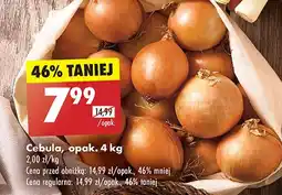 Biedronka Cebula oferta