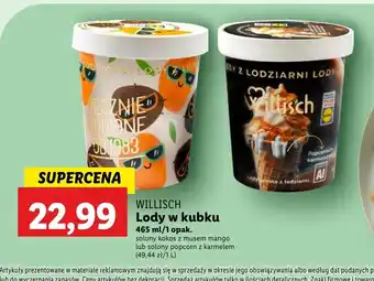 Lidl Lody Willisch oferta