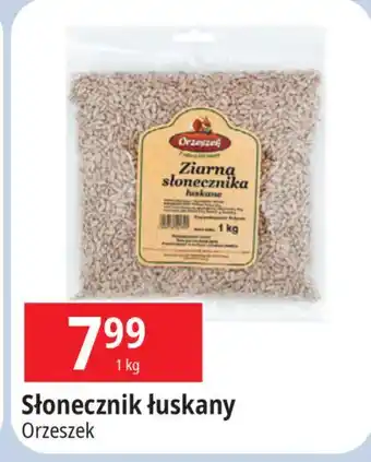 E.Leclerc Słonecznik łuskany Orzeszek oferta