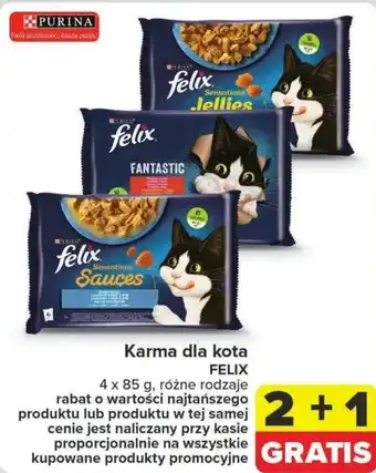 Carrefour Karma dla kota FELIX oferta