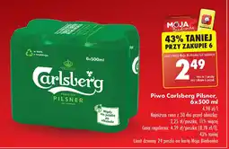 Biedronka Piwo Carlsberg oferta