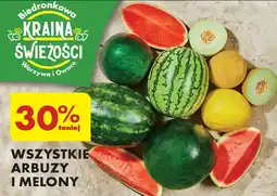 Biedronka Melon oferta