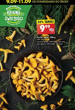 Biedronka Kurki oferta