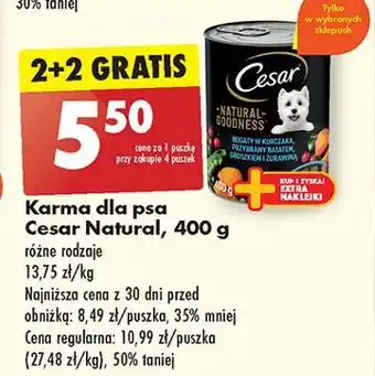 Biedronka Karma dla psa z kurczakiem Cesar (Karma) oferta