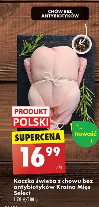 Biedronka Kaczka świeża bez antybiotyków Kraina Mięs Select oferta